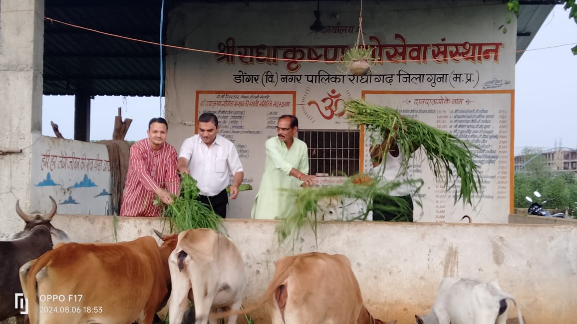 गौशाला 5